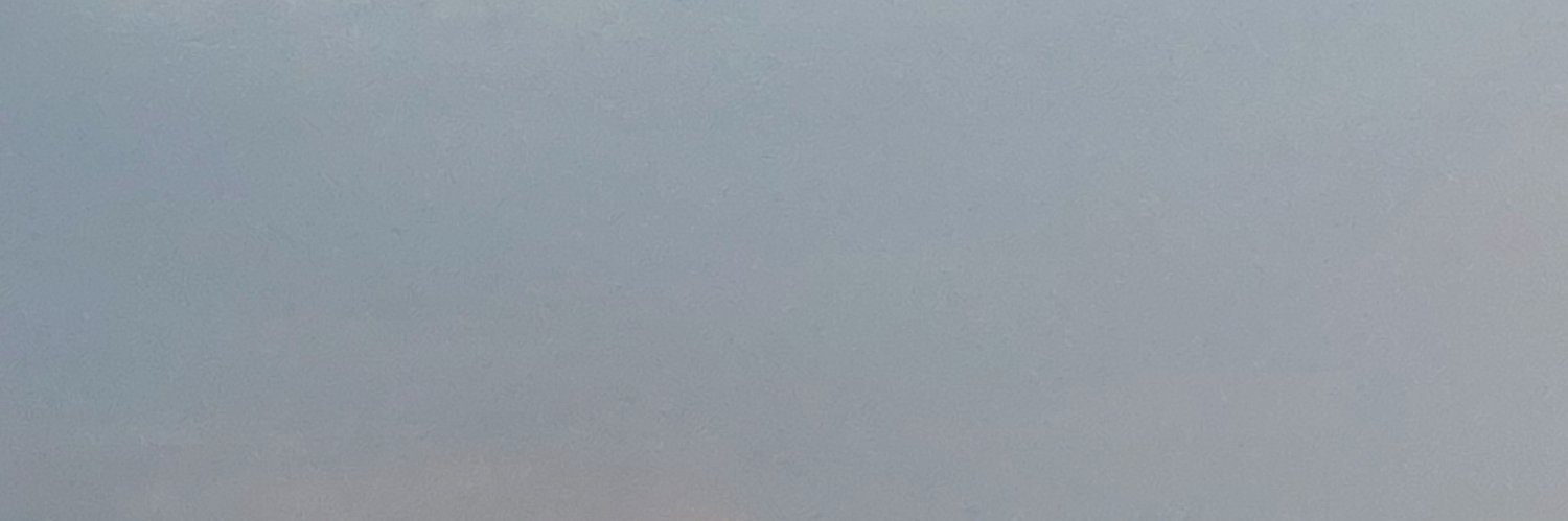MorganeNimaan's profile banner image