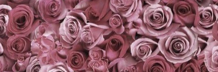 yingfengsf's profile banner image