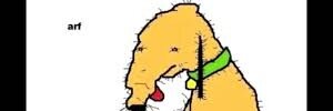 DevinMoorgin's profile banner image