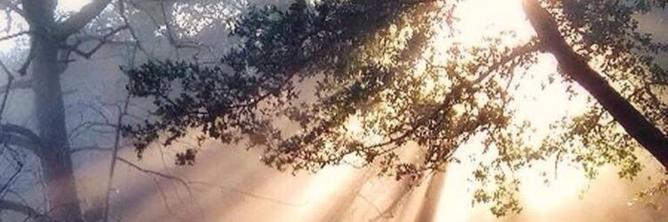 MajaPastora's profile banner image