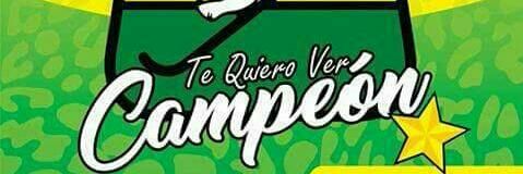 Nicolas Gamboa banner