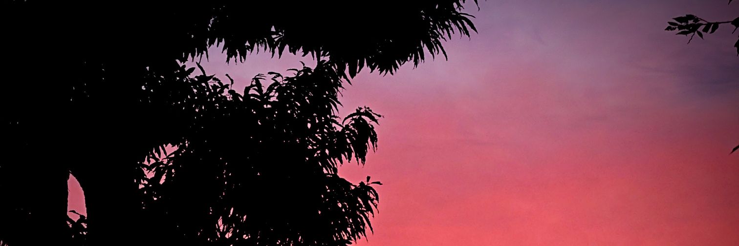 TAKAVlog's profile banner image