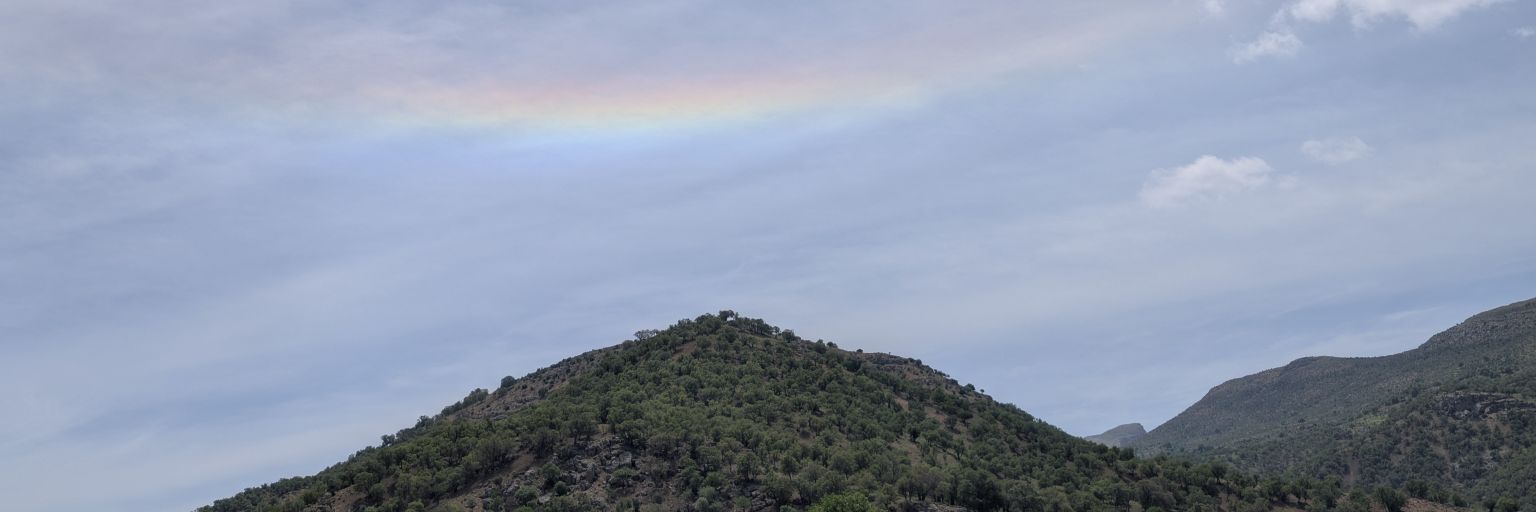 1S433D's profile banner image