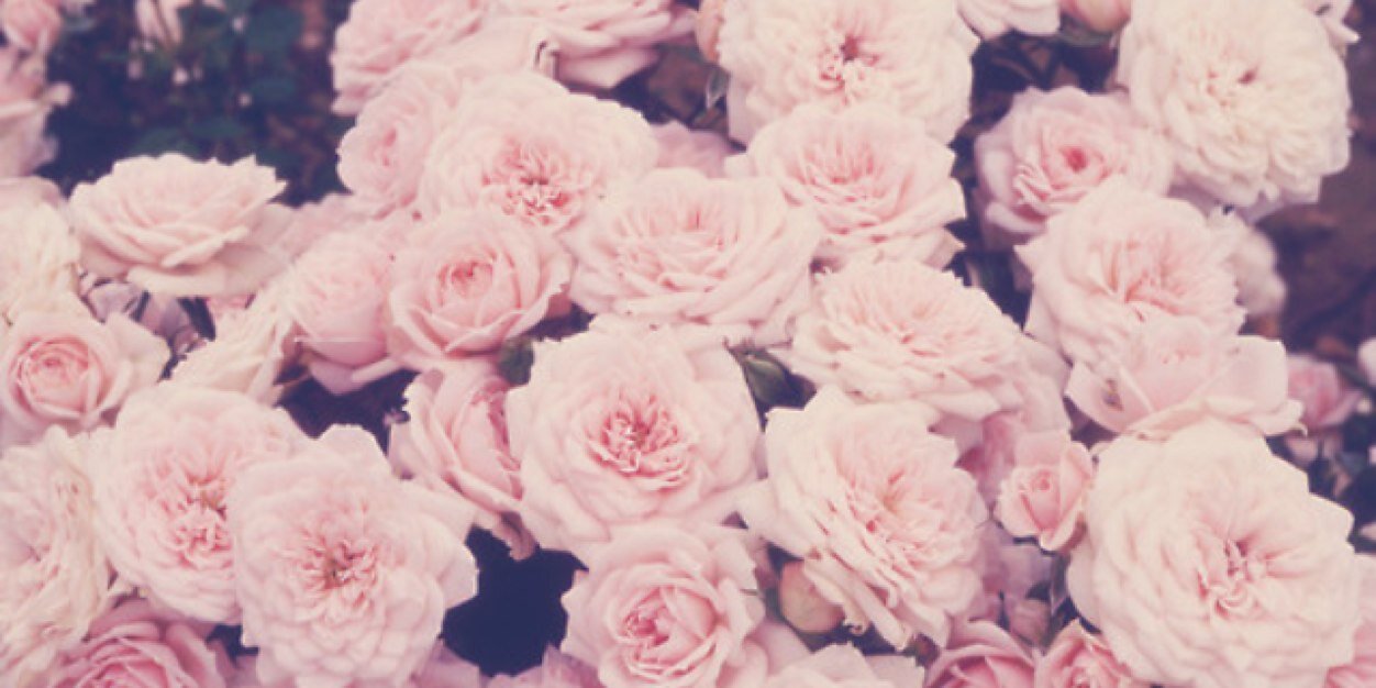 xesmee13's profile banner image
