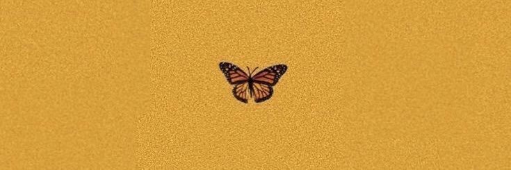 valdi_renee's profile banner image