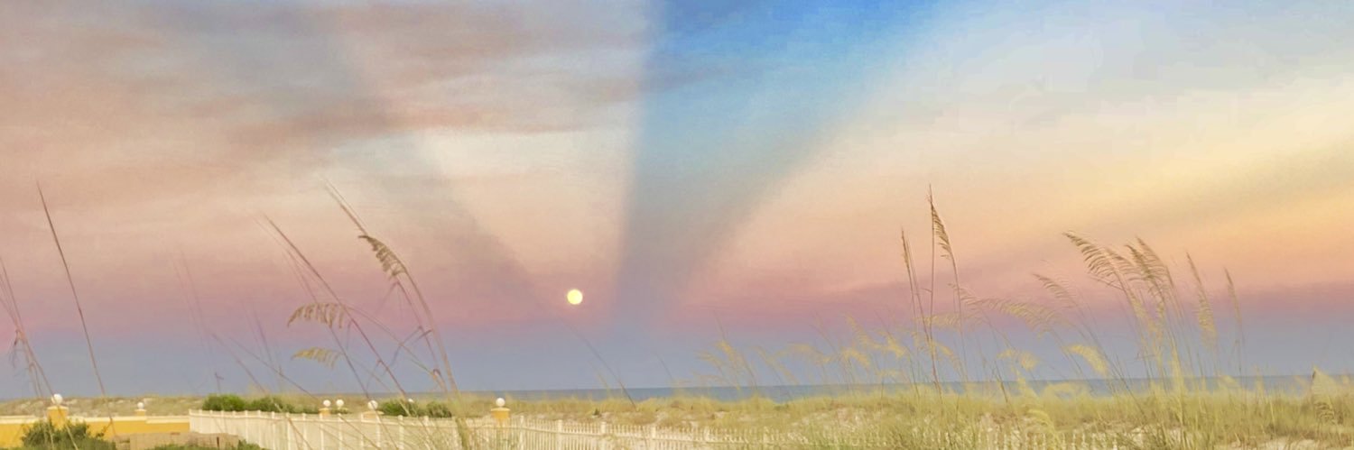 LogeyBear3's profile banner image