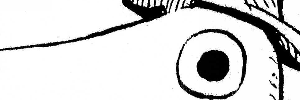 NaCl_Lord's profile banner image