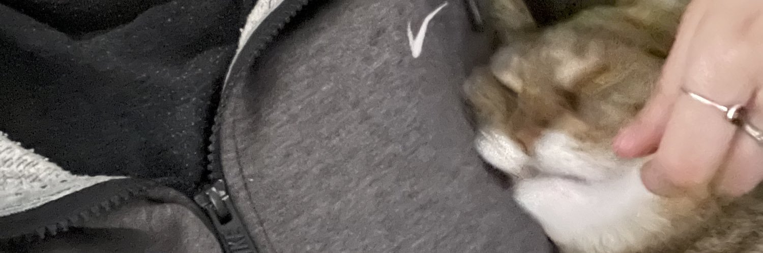 AliceFraisier's profile banner image