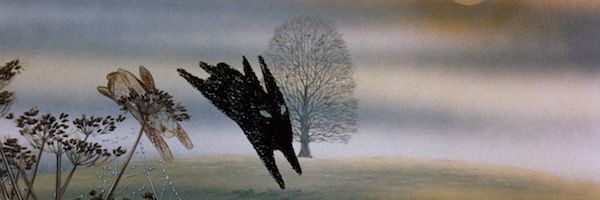 amytrrr's profile banner image