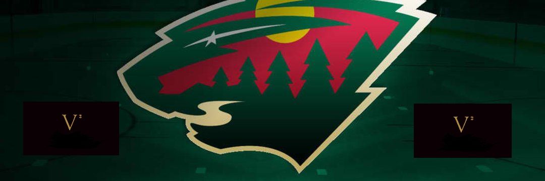 VMANSWILD's profile banner image