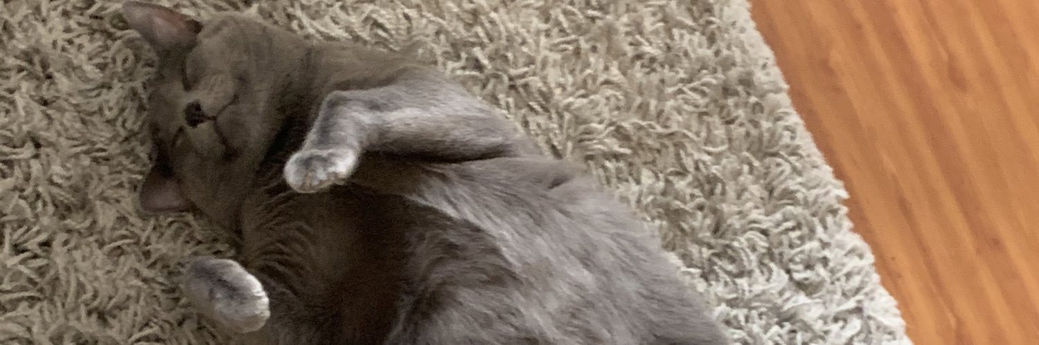 AccioKaitlyn's profile banner image