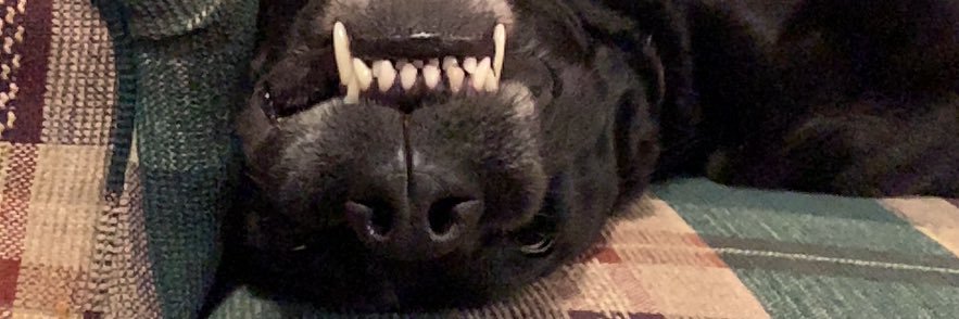 mckkinleee's profile banner image