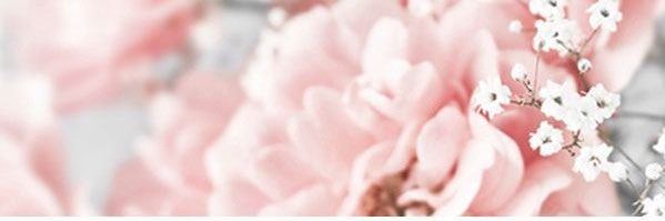 etsypro's profile banner image