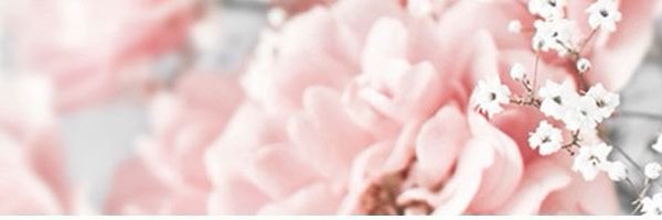 etsypro Profile Banner