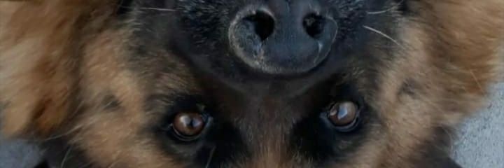 Alan12Romero's profile banner image