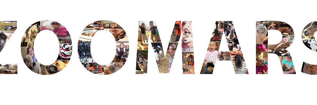 ZOOMARS banner