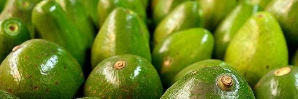 paltacriolla's profile banner image