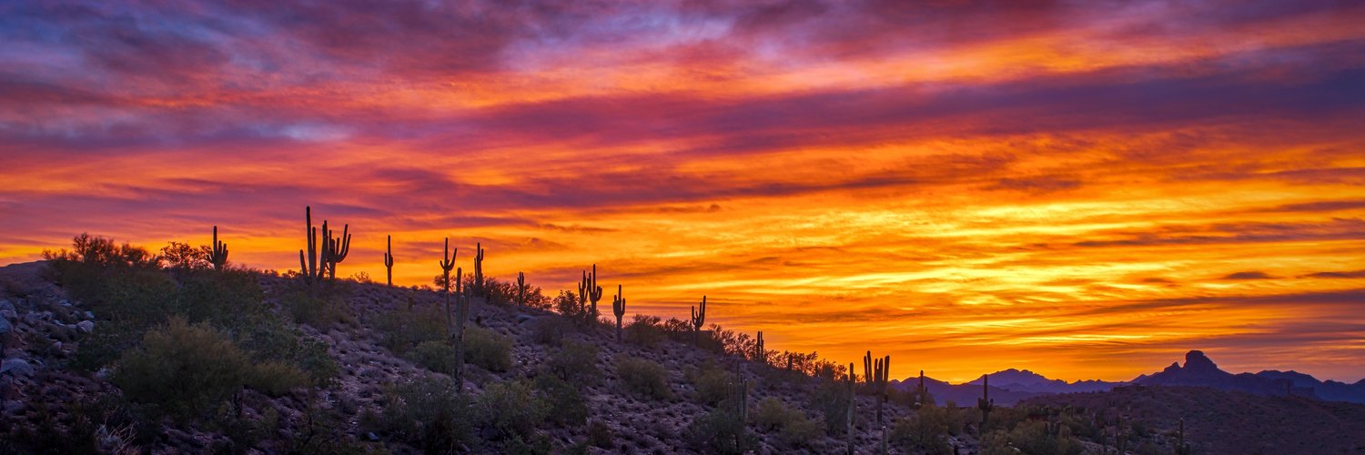 MME_SCOTTSDALE's profile banner image