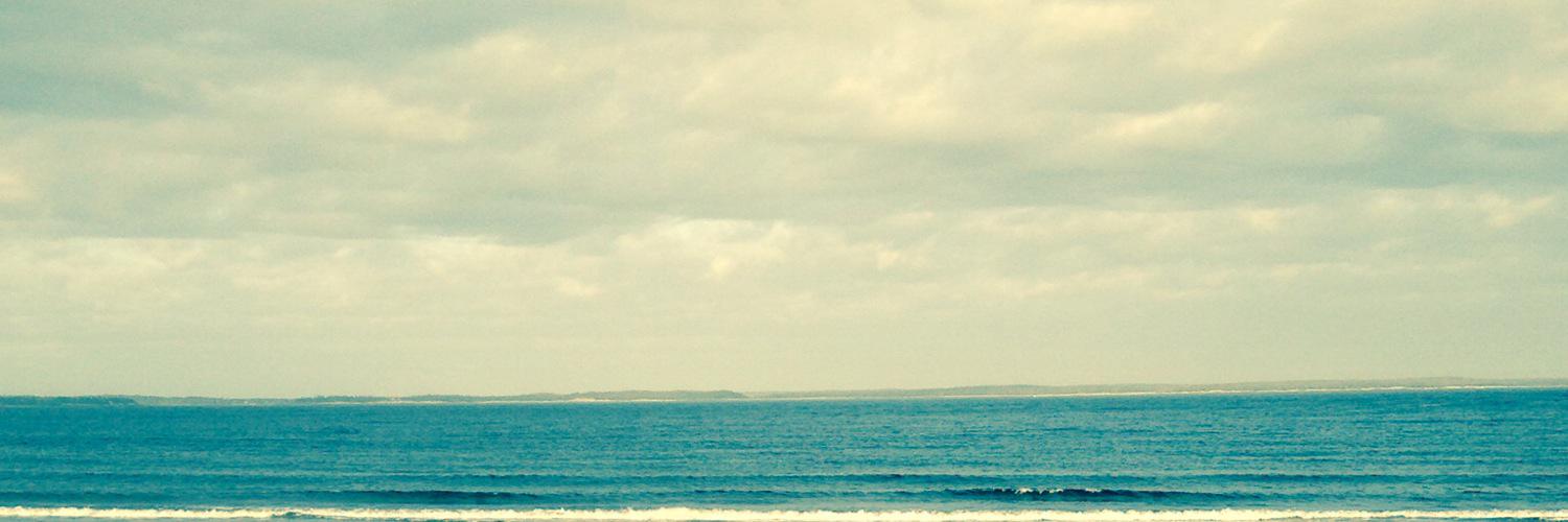 Christa Dexter banner