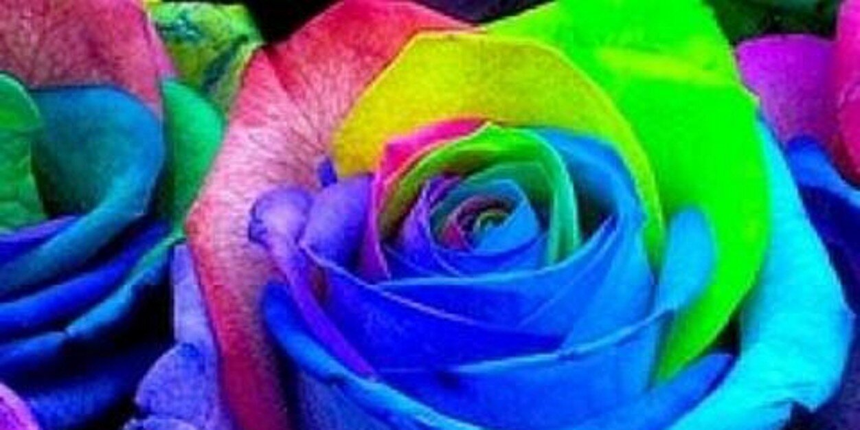 tinyolviana's profile banner image