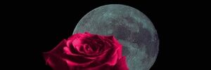 Debora153649's profile banner image