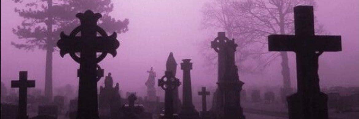M҉a̸u̥ͦL͜͡𝕊☠︎𓃠 banner
