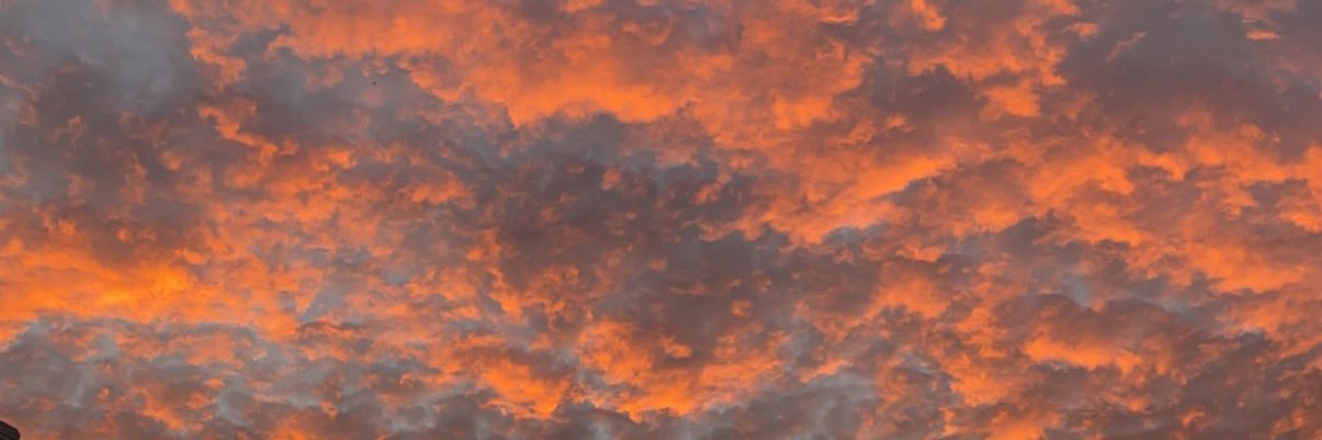hanelfitz's profile banner image