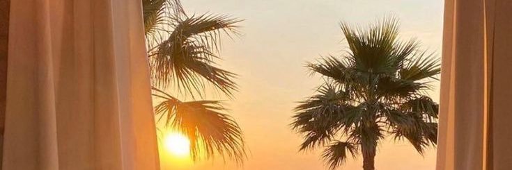 AshleyTioni's profile banner image
