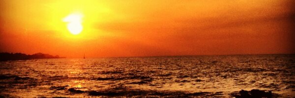 Scal Profile Banner