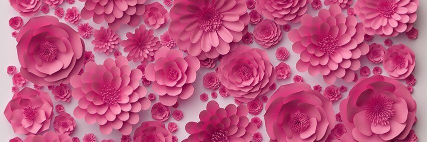 SmoTulip's profile banner image