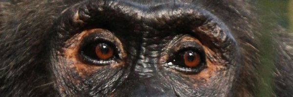 PNASNews Profile Banner