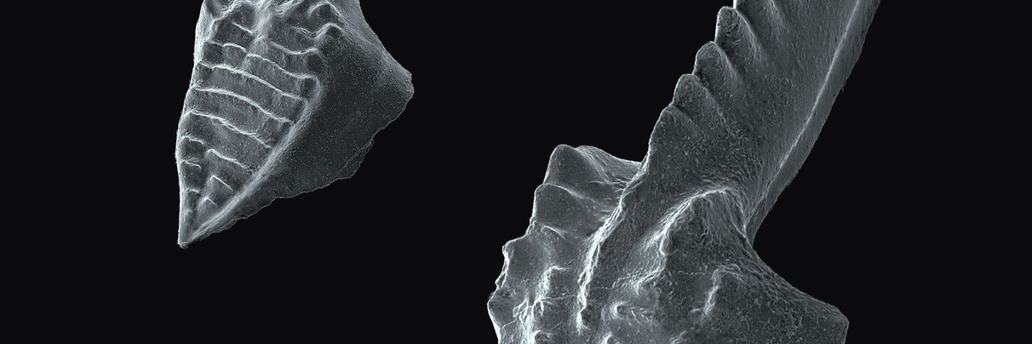 PNASNews's profile banner image