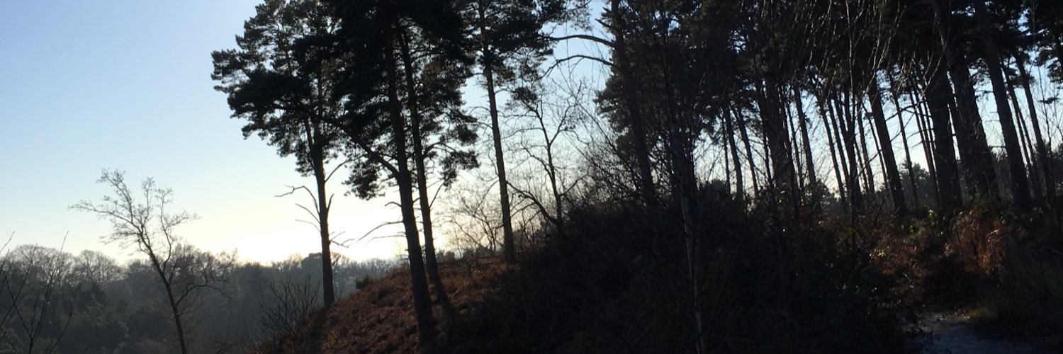 DanWeekes's profile banner image