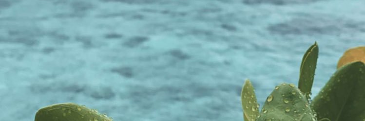 ama305's profile banner image
