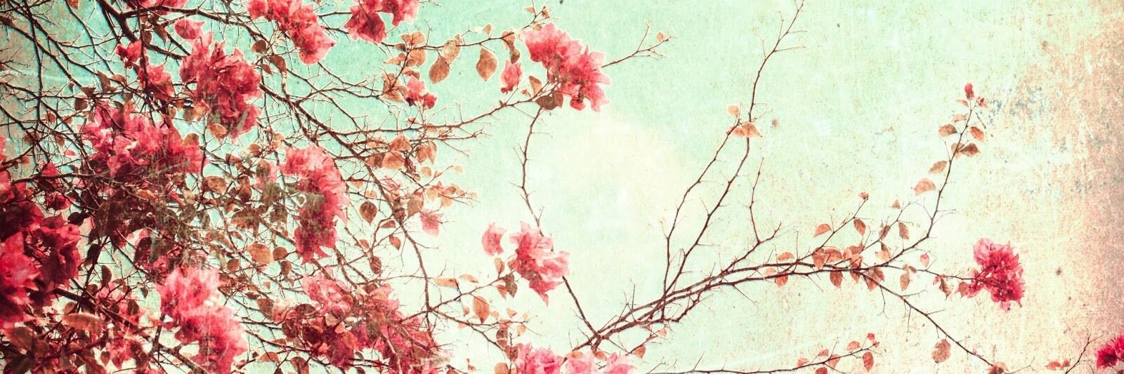 MaryKSmithers's profile banner image