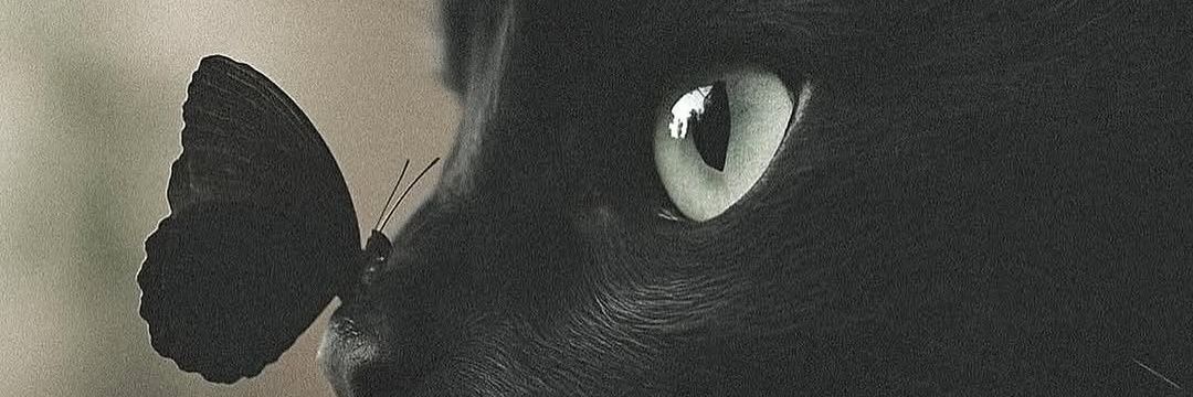 billiest_'s profile banner image