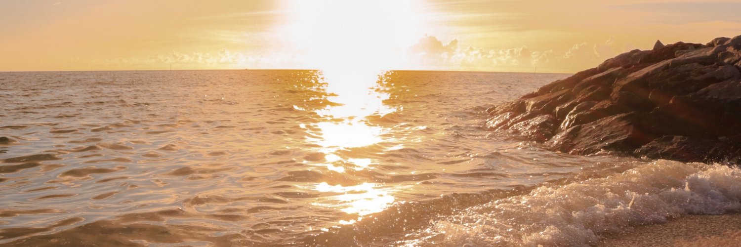 iidecoii's profile banner image