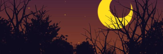 Jussie65's profile banner image