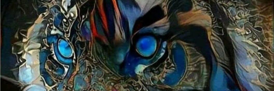 wil6902's profile banner image