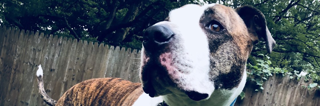 ACuchinski's profile banner image