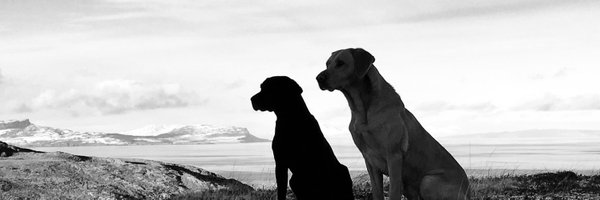 gplen100 Profile Banner