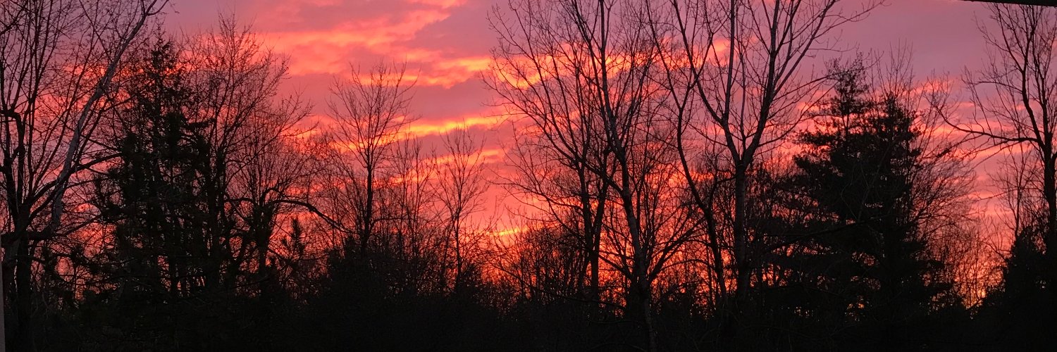 TheBUF's profile banner image