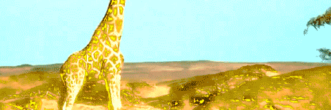 body_schemes's profile banner image