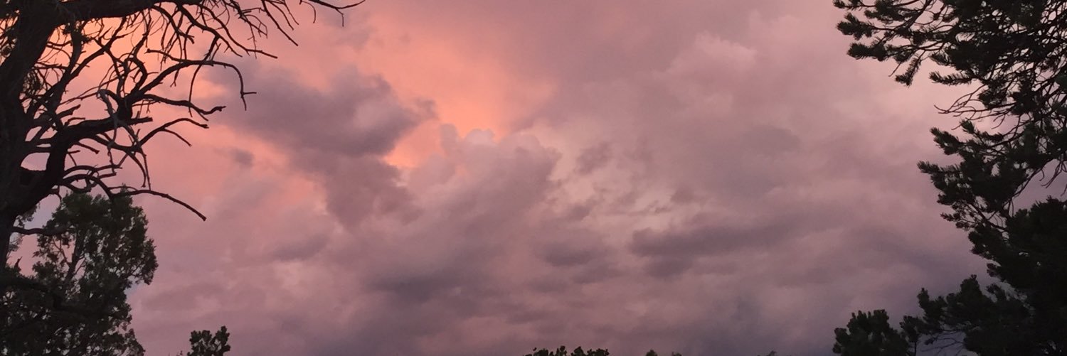 jackieboyharp's profile banner image