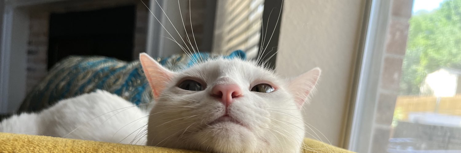 HaneenE03's profile banner image