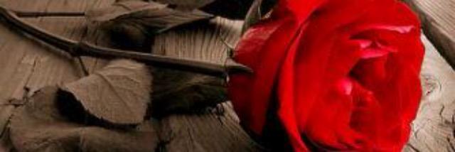 eere88's profile banner image