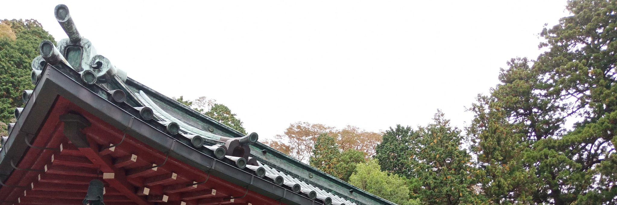 tarantiagooo's profile banner image