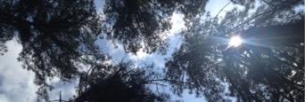 Mister_JC's profile banner image