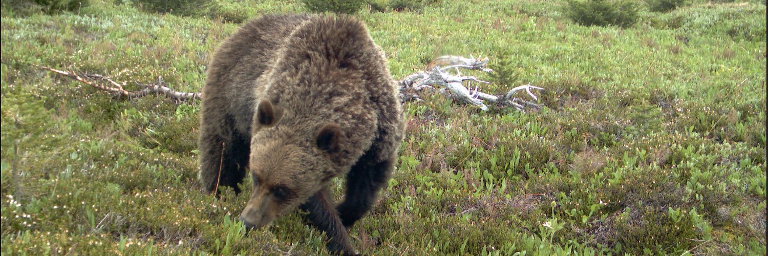 Jason T Fisher banner