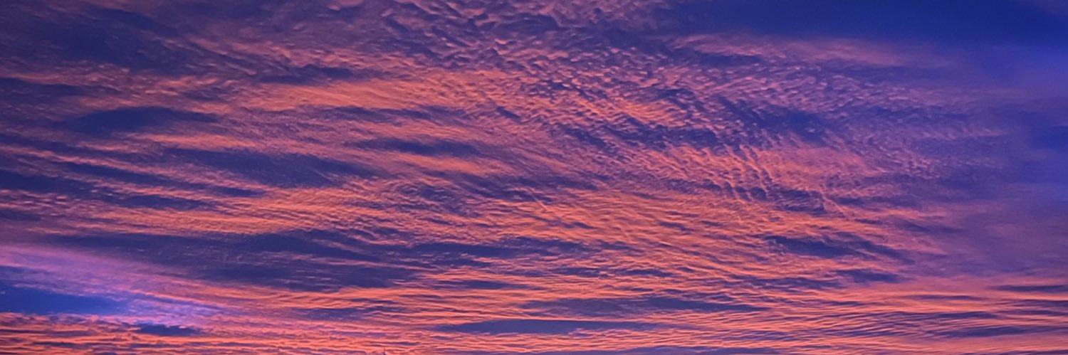 Eva L.Arroyabe banner